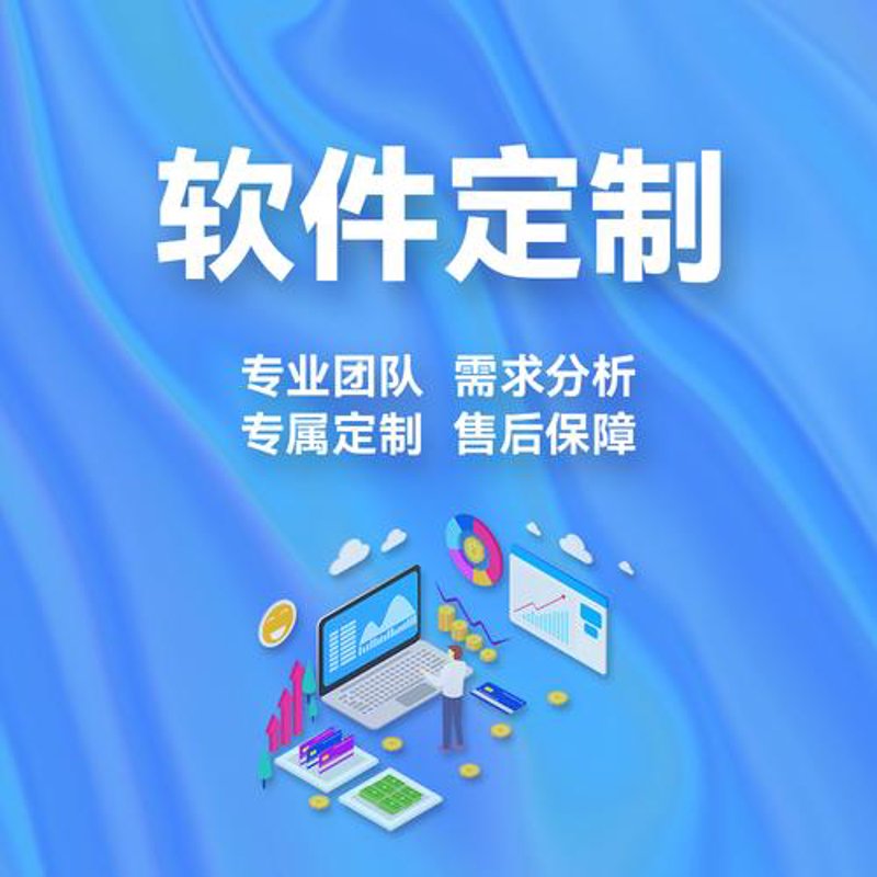 软件系统定制：企业信息化发展的催化剂